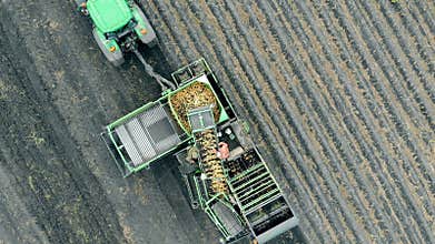 Harvesting machinery complex is riding a potato field in a view from above