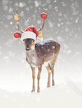 Christmas Reindeer in Snow With Santa Hat