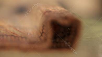 Cooking a sushi at home