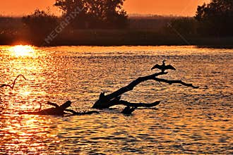 Danube Delta sunset