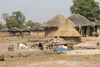 African village in ghana