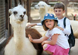 Children and animals in the zoo