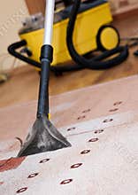 Professional carpet cleaning