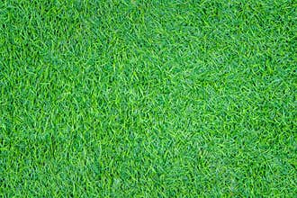 Top view texture artificial green grass seamless patterns background