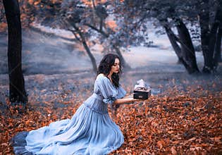 Attractive brunette girl sits in a dark forest on fallen autumn orazhevyh leaves, dressed in a gray vintage dress with