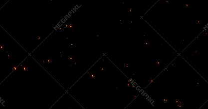 Real fire sparks from campfire with ash rise over black background, danger