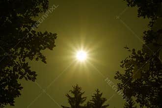 Golden Sun