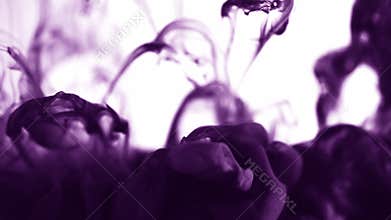 Dark violet paint mixing in water. Cloud of silky purple colour ink swirling underwater. Abstract smoke explosion can be