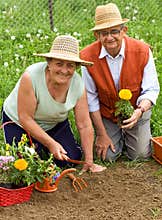 Happy healthy seniors gardening
