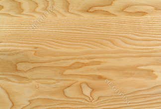 Texture of real wood