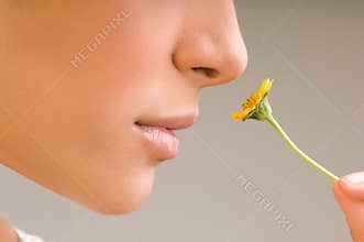 Nose smell