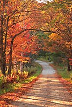 Vermont countryside road during autumn