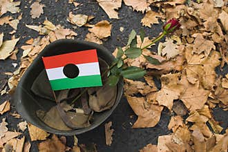 Celebration of 1956, Hungary