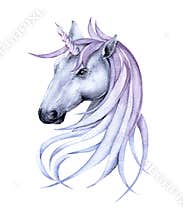 Fairy unicorn. Isolated on white background.