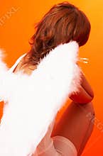 Back of an Angel