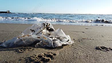 Environmental protection is necessary a plastic bags is not biodegradable, the sea and nature suffer from continuous pollution