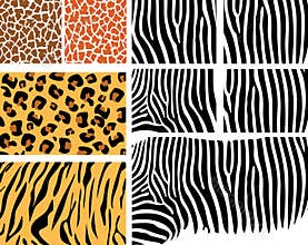 Animal Skin set