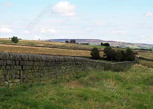 Dry stone wall in Yorkshire dales landscape with fields
