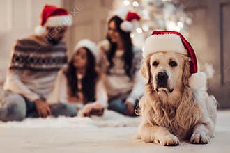 Family with dog on New Year`s Eve
