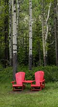 Red chairs and birch trees