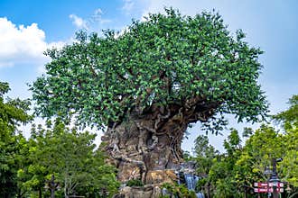 Disney world Orlando Florida animal kingdom tree of life