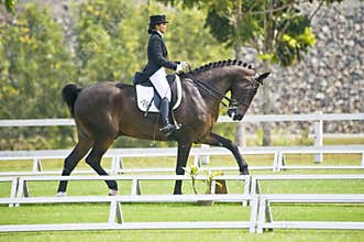 Equestrian Dressage
