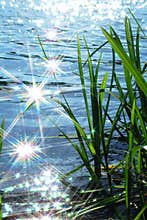 Sun light sparkle on wave