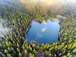 Aerial view of Lake Synevir in Carpathian Mountains in Ukraine
