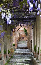 Generalife Gardens