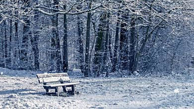 Seamless loop - snowing on a bench in a forest in winter, video HD