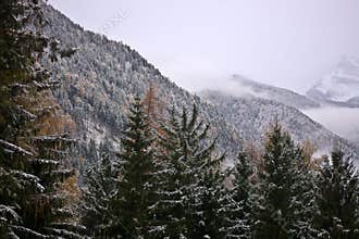 Winter came in the mountains