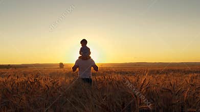 Happy family father mom and two sons walking in a wheat field and watching the sunset