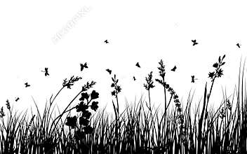 Meadow silhouettes