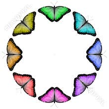 Circular Rainbow Coloured Butterfly Border