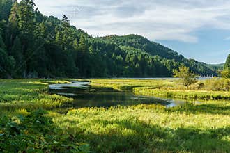 Shallow water in Goldstream Provincial Park with mountains on background and cloudy sky.