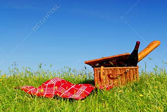 Picnic basket 1
