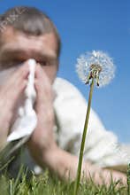 Hay fever