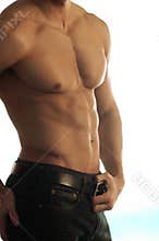Buff male torso