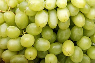 Green grapes