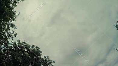 Tree and sky drive nature, travel, tree, blue, green, california, hollywood, natura