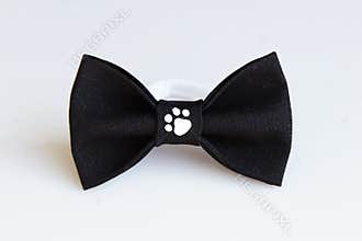 one beautiful black small butterfly made of cloth on the hair bands to create a hairstyle on the head, with fingerprint of cat tra