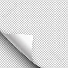 Paper poster hangs with a wrapped up corner. Vector illustration