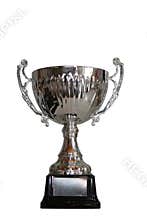 Winning trophy