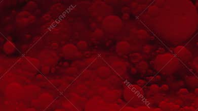 Small red blood cells in fluid