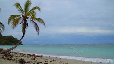 Tropical Paradise Beach