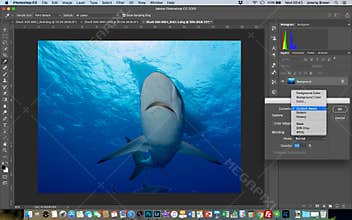 Content-Aware Fill in Photoshop
