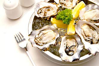 Aphrodisiac Oyster