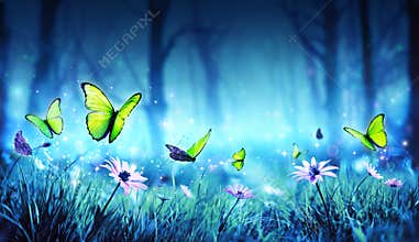 Fairy Butterflies In Mystic Forest