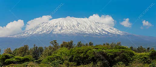 Kilimanjaro the highest mountain in Africa summit