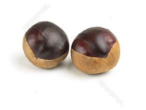 Two horse chestnuts isolated on white